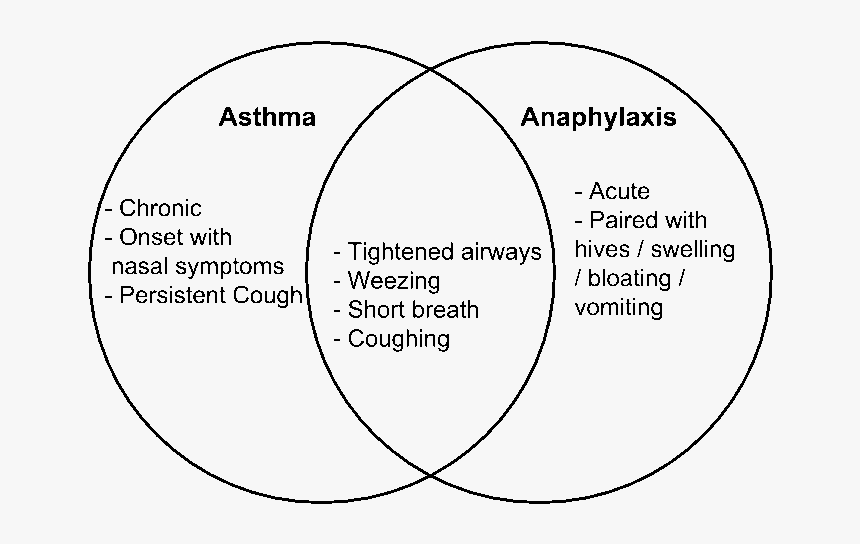 Asthma Vs Anaphylaxis Www - Circle, HD Png Download - kindpng