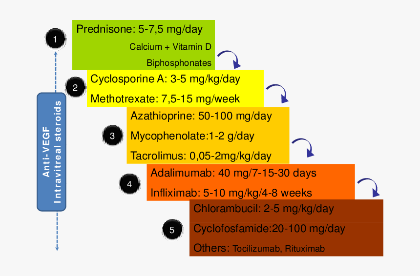 Non Infectious Uveitis Treatment, HD Png Download, Free Download