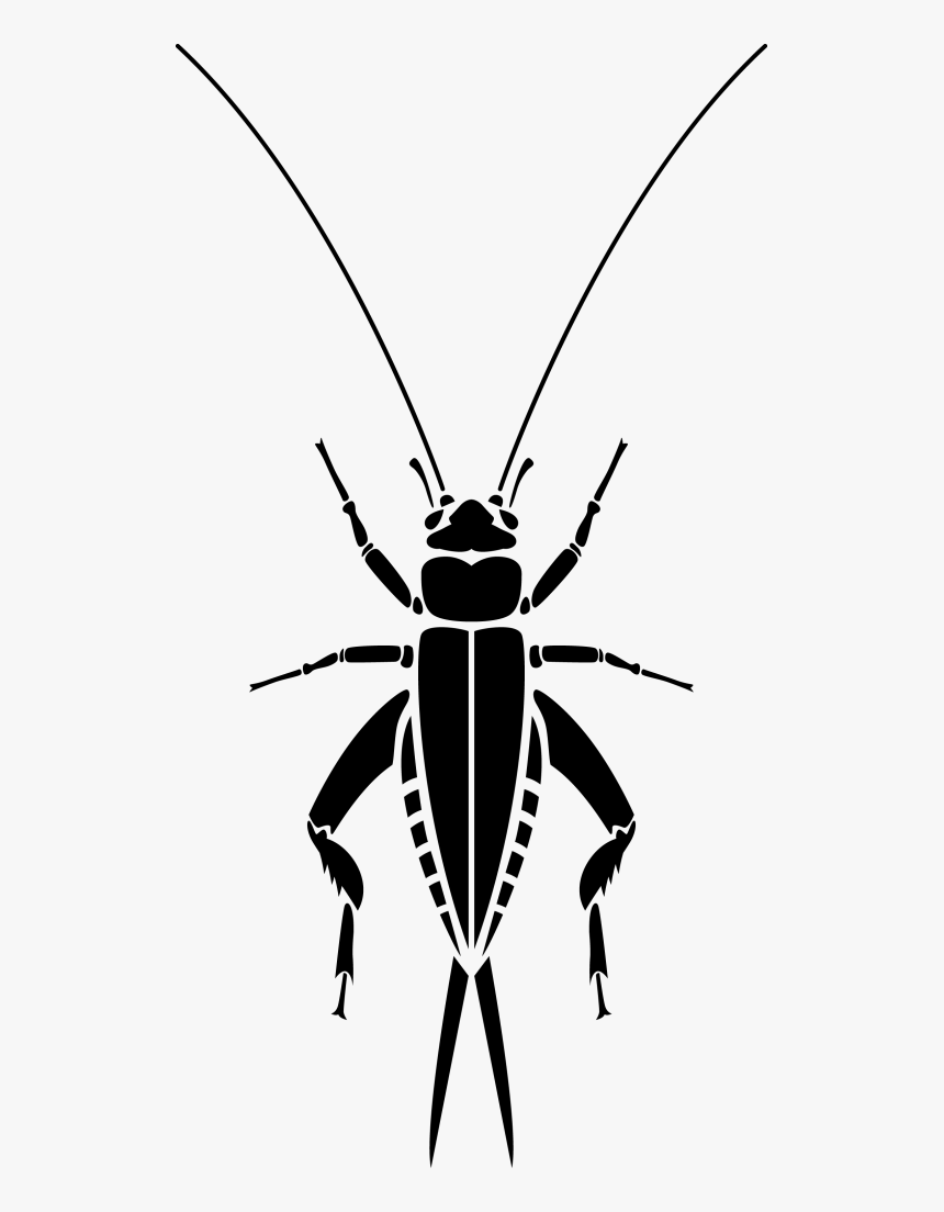 The Cricket - Longhorn Beetle, HD Png Download, Free Download