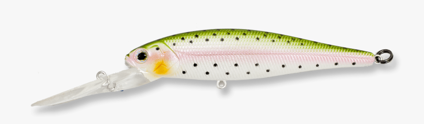 Trout, HD Png Download, Free Download