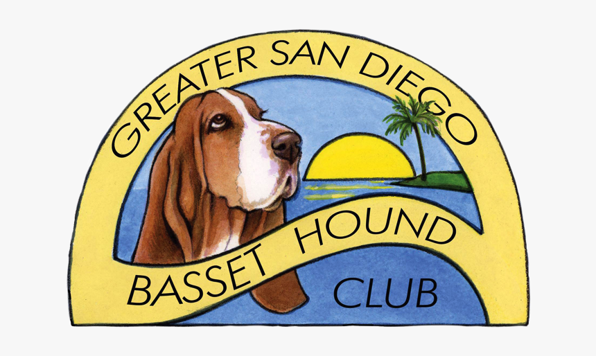 Basset Hound, HD Png Download, Free Download