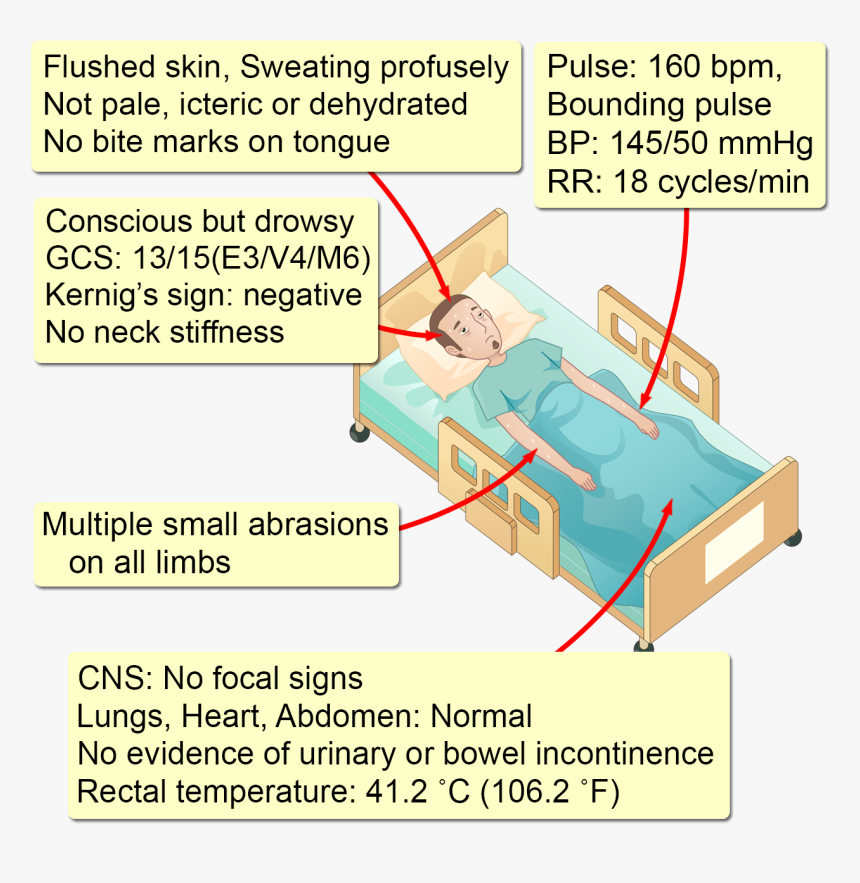 Diagram, HD Png Download, Free Download