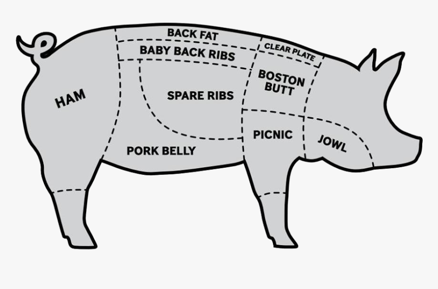 Labeled Pig Parts - Domestic Pig, HD Png Download, Free Download