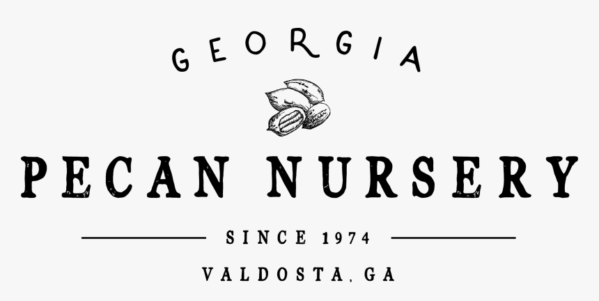 Georgia Pecan Nursery - Pecan Nut Logo, HD Png Download, Free Download