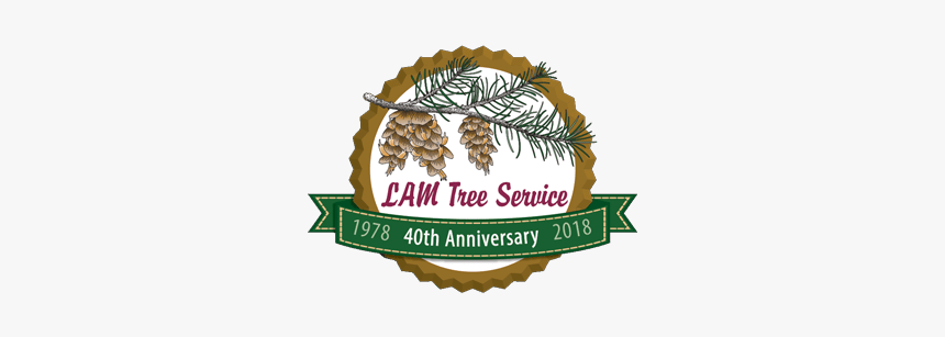 Lam Tree 40th Anniversary Logo - Handmade Cards For Winter, HD Png Download, Free Download