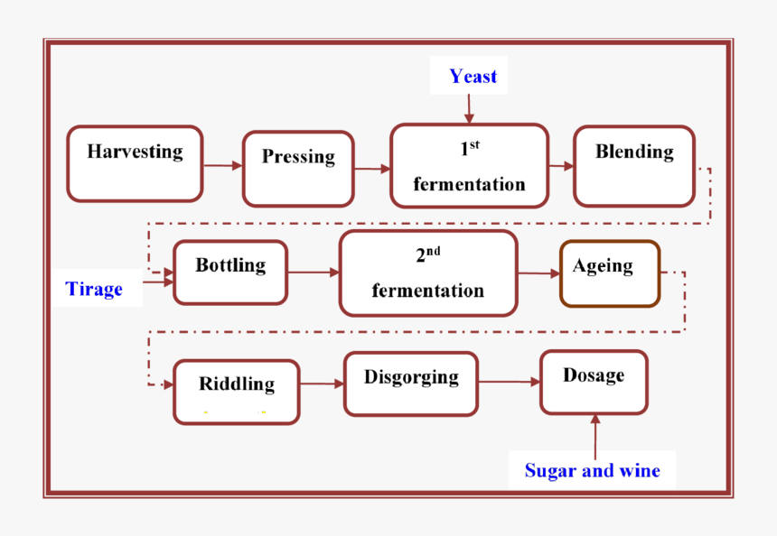 Diagram Of Wine Making Process, HD Png Download, Free Download