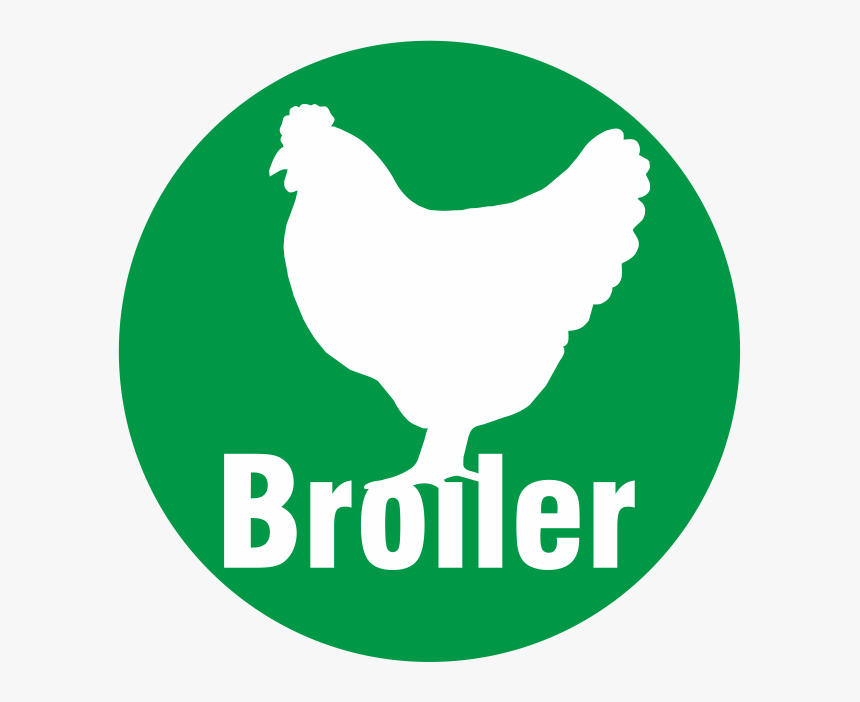 Broiler - Mayors For Peace Logo, HD Png Download, Free Download