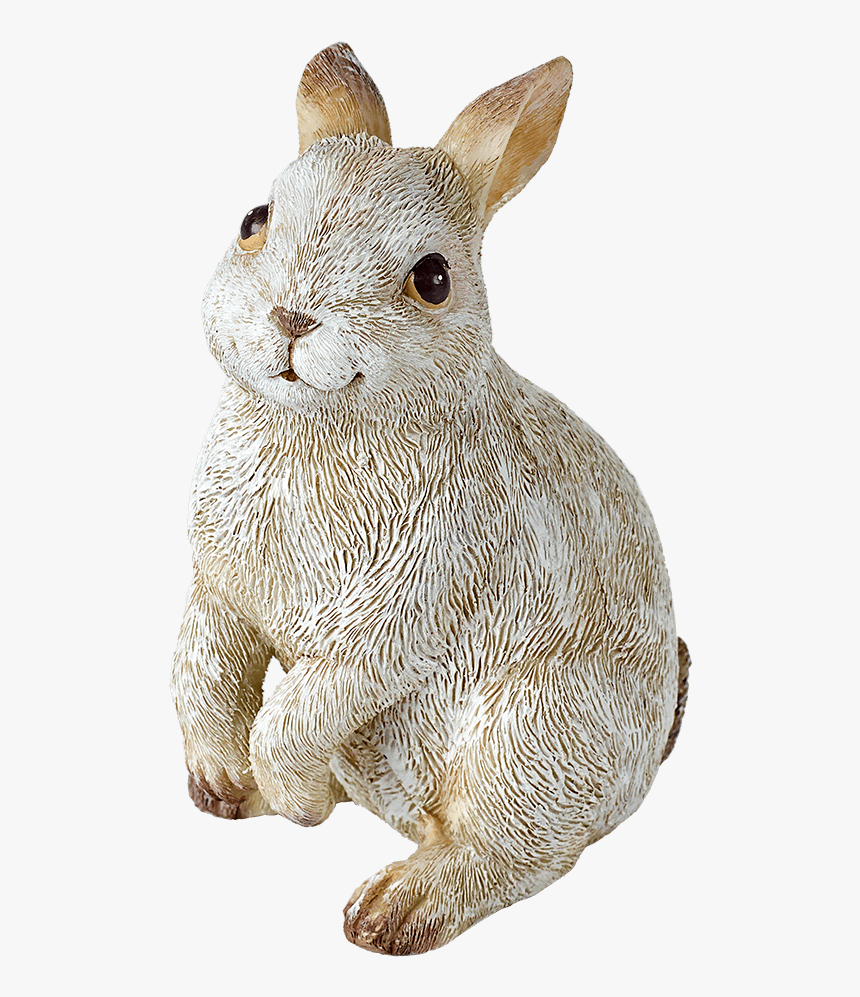 Rabbit Standing - Domestic Rabbit, HD Png Download, Free Download