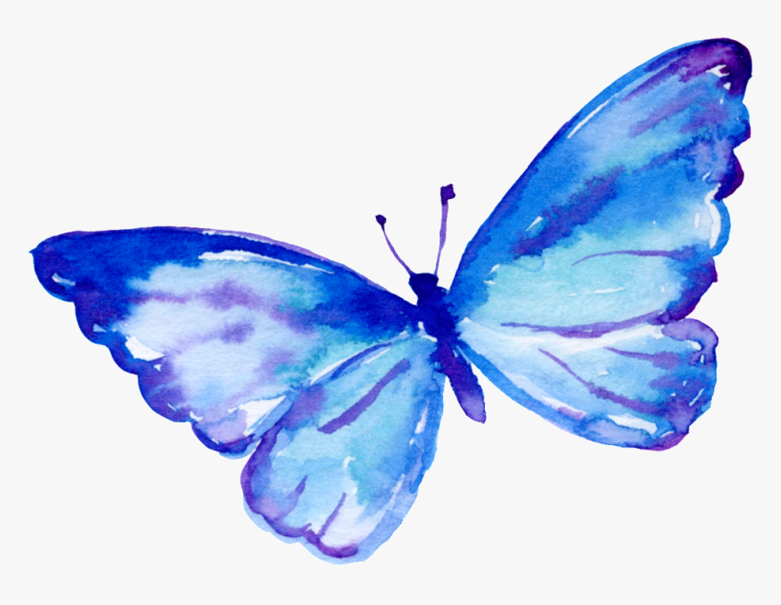 Flying Butterfly Cartoon Transparent - Portable Network Graphics, HD ...