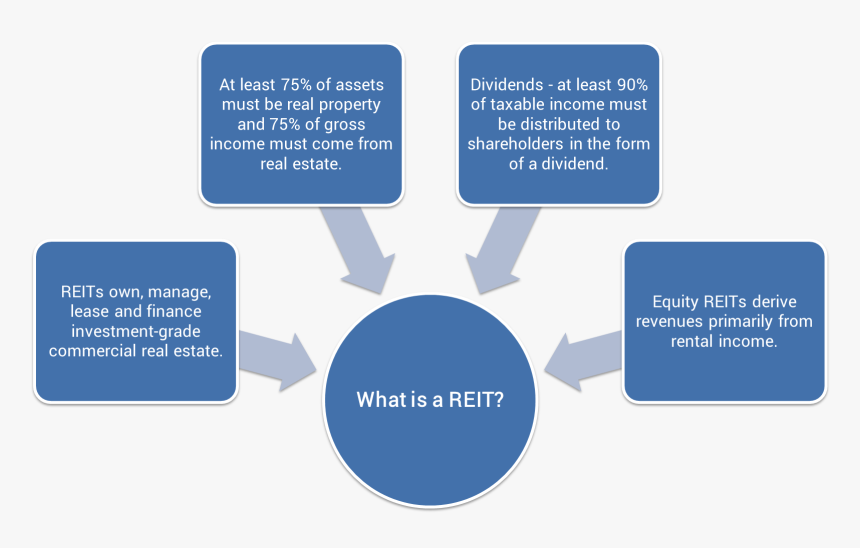 Reits - Dark Tetrad Of Personality, HD Png Download, Free Download