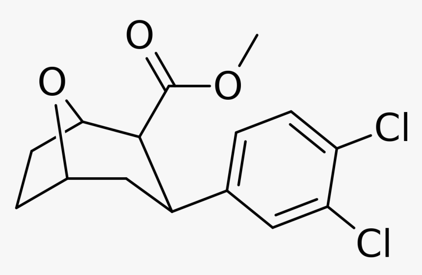 File - Singh 90fg - Svg - Chemical Structure Of Lupinus, HD Png Download, Free Download