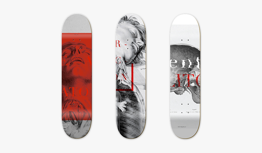 Snowboard, HD Png Download, Free Download