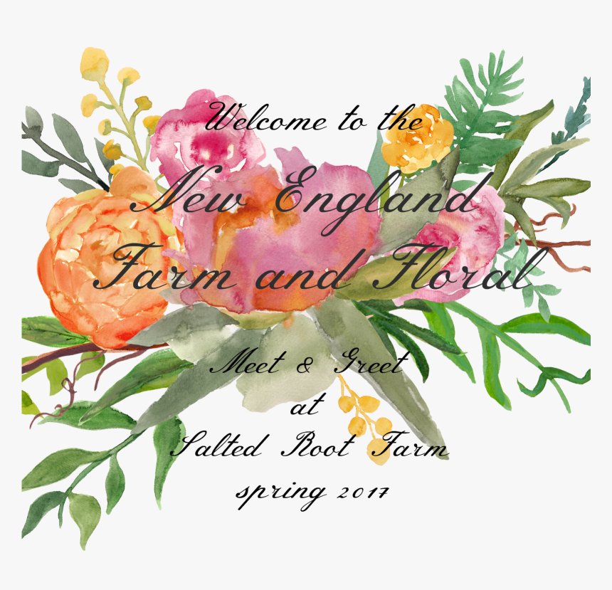 Happy Spring, Friends I Hope This Note Finds You In - Caesalpinia, HD Png Download, Free Download