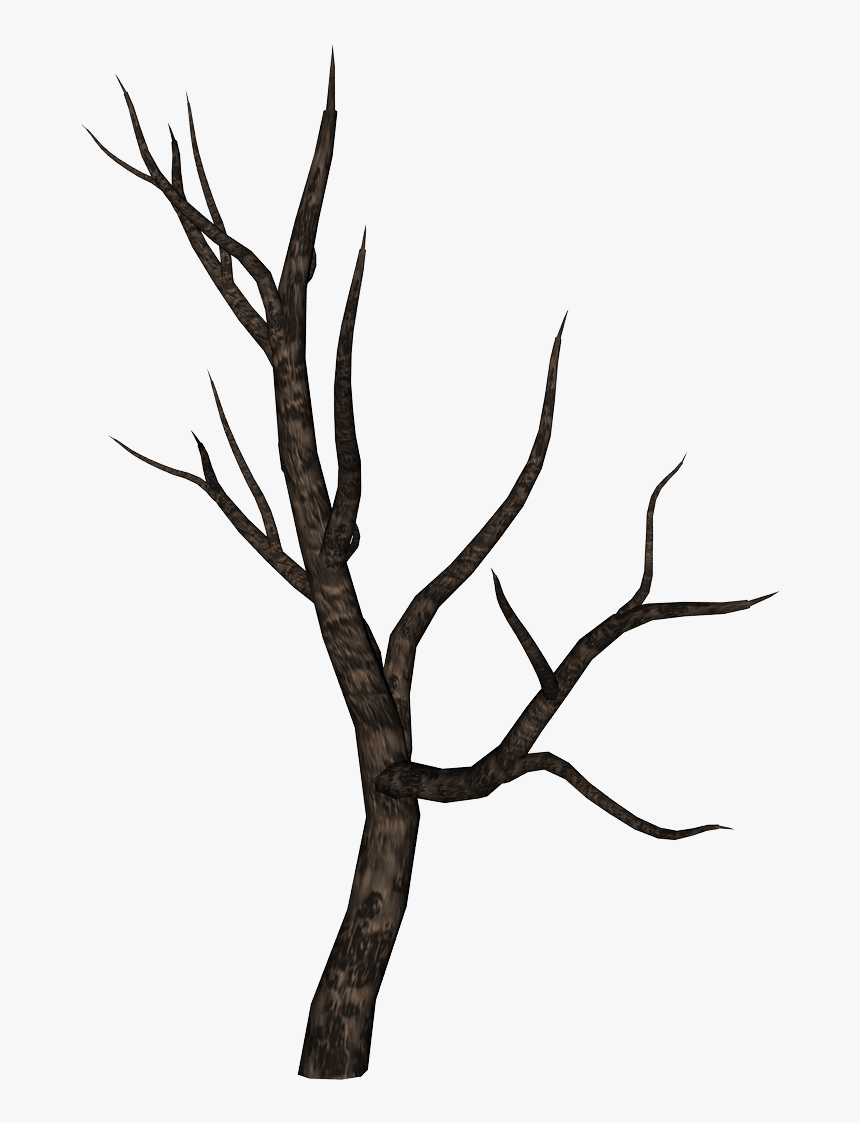 24 Spooky Tree Branch (PNG Transparent)