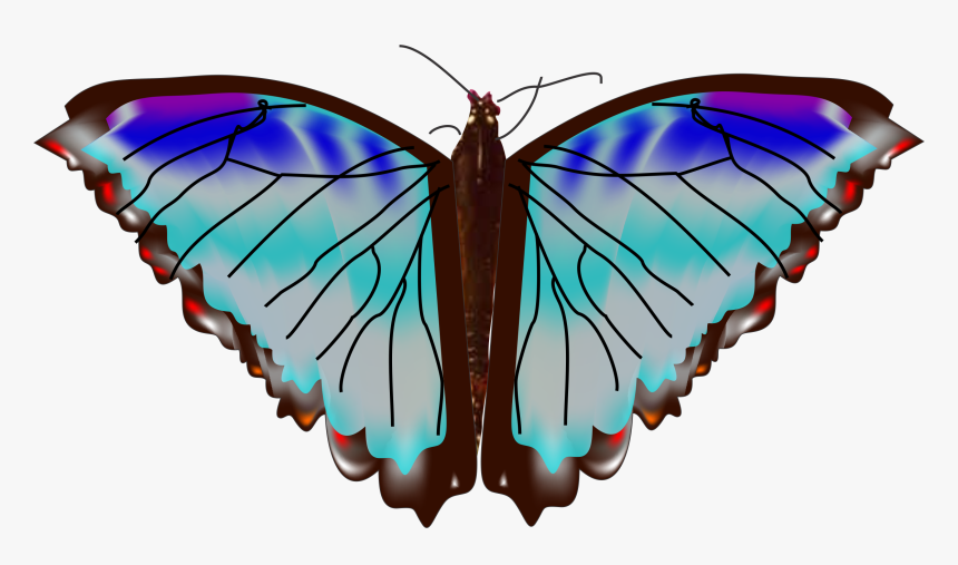 Hormiga Png, Transparent Png, Free Download