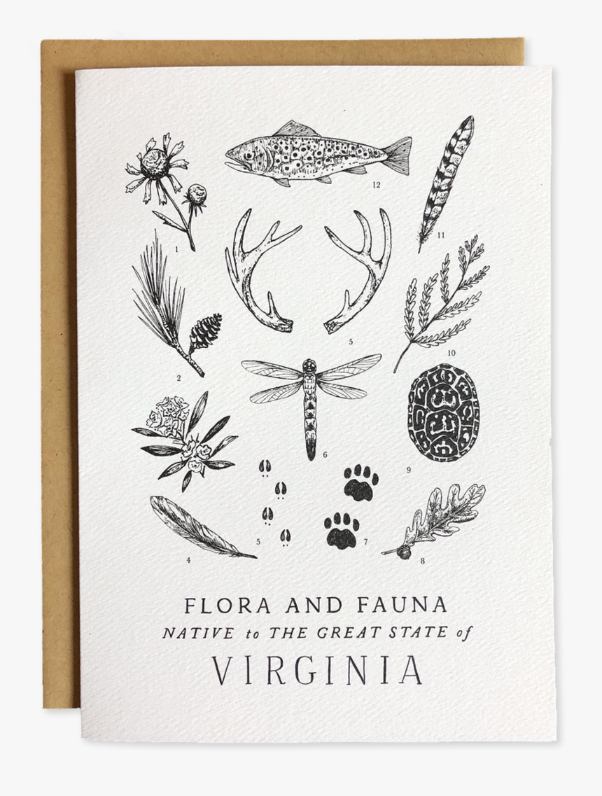 Flora And Fauna Of Virginia, HD Png Download, Free Download