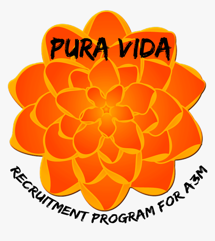 Pura Vida - Illustration, HD Png Download, Free Download