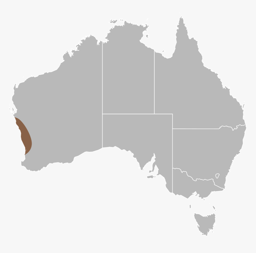 Map Of Australia No Background, HD Png Download, Free Download