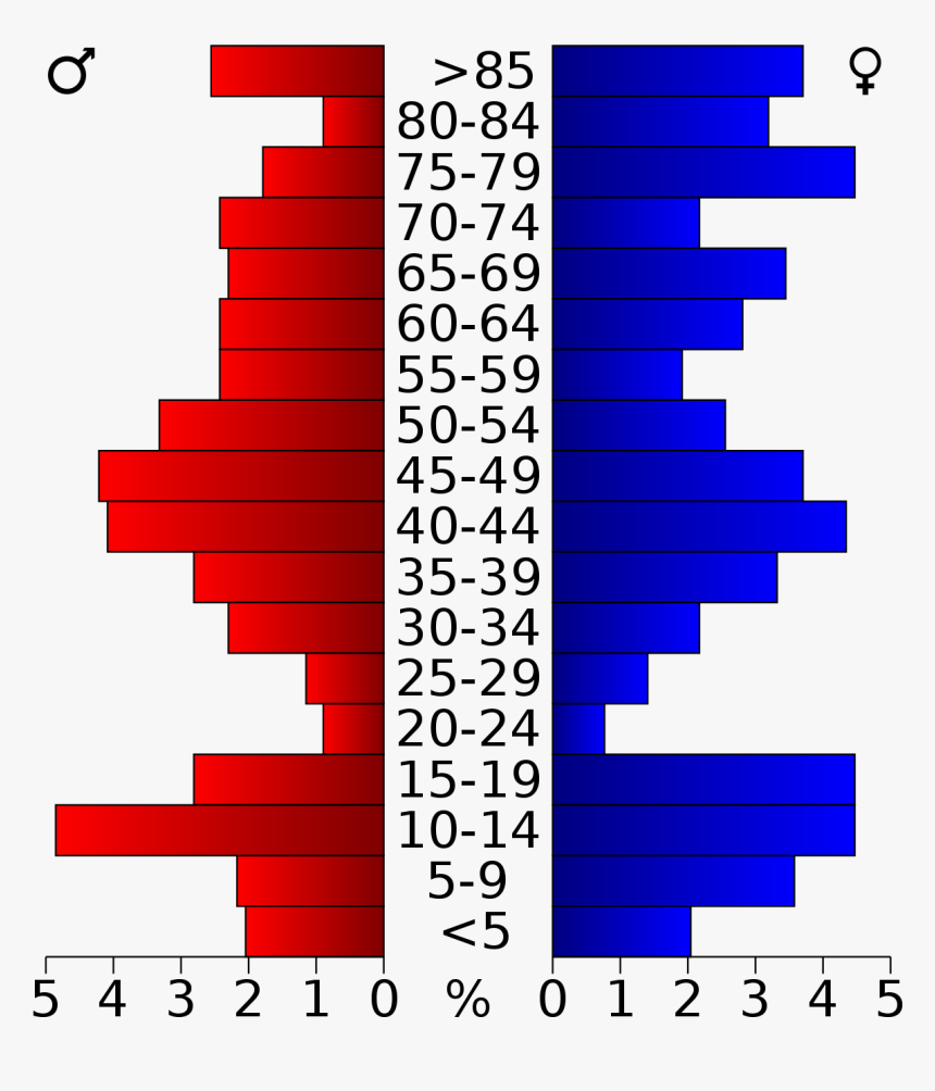 Honolulu Hawaii Population Pyramid, HD Png Download, Free Download