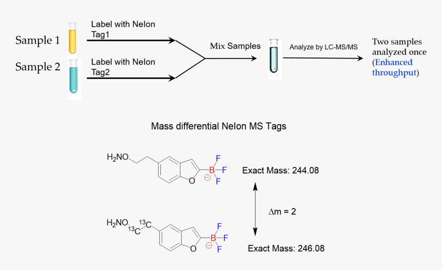 Multiplexing, HD Png Download, Free Download