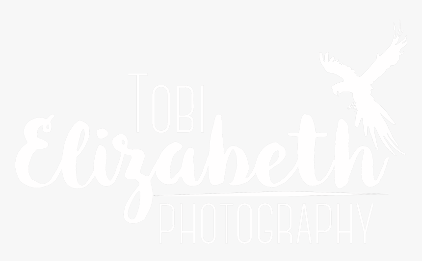 Tobi Elizabeth Photography - Calligraphy, HD Png Download, Free Download