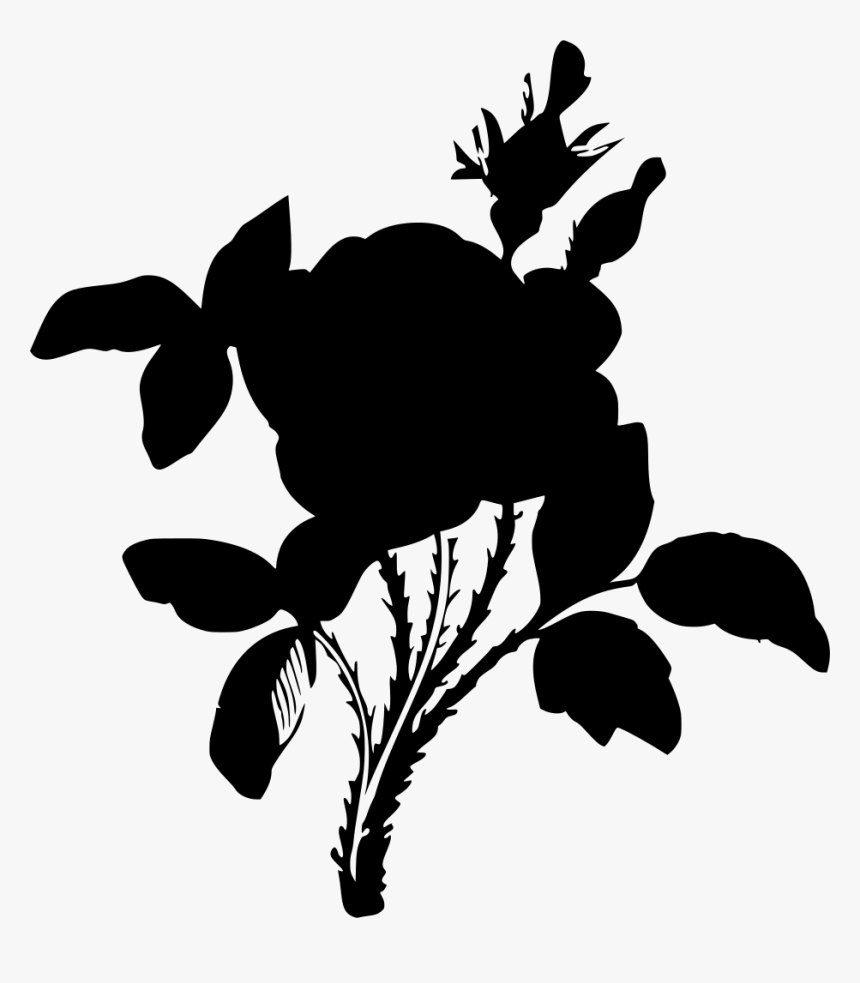 Rose, HD Png Download, Free Download