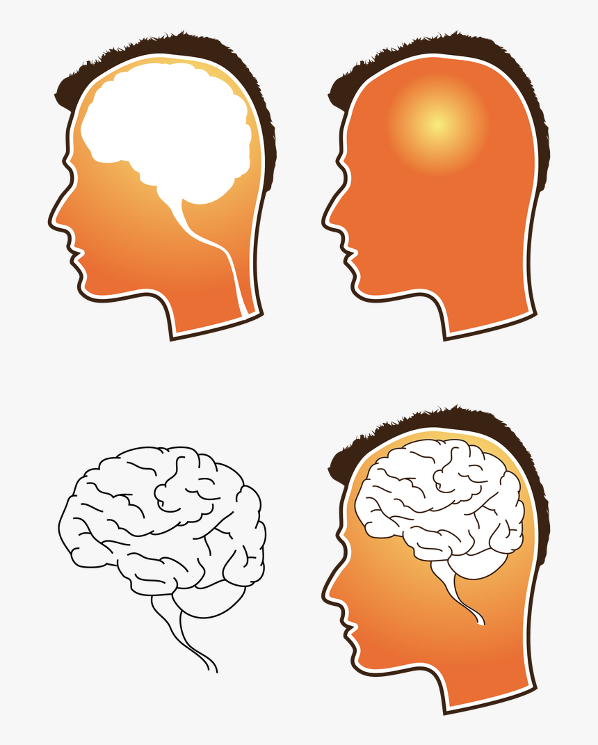 Working Vector Human Brain - Free Vector Brain, HD Png Download, Free Download