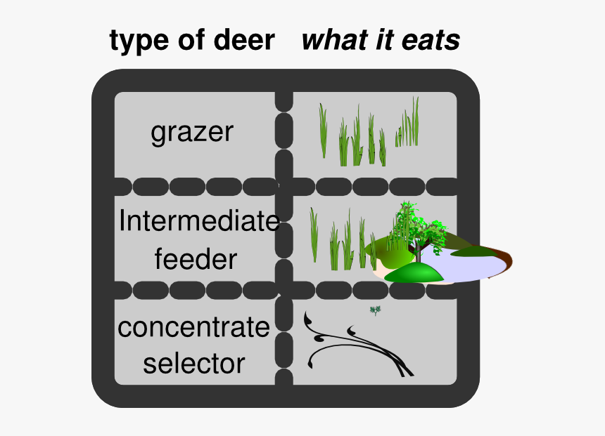 Deer Type By Food Svg Clip Arts - Particle Theory Of Matter, HD Png Download, Free Download