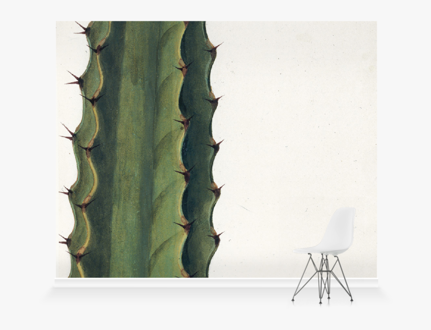 San Pedro Cactus, HD Png Download, Free Download