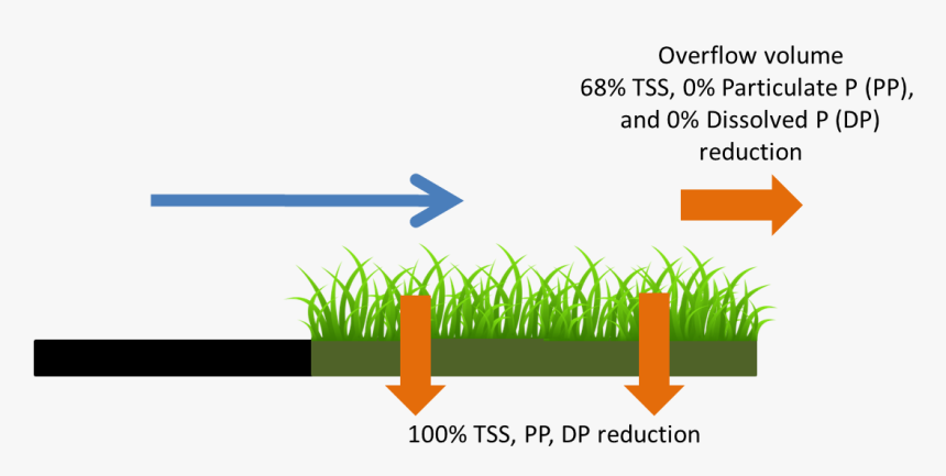 Grass Clip Art, HD Png Download, Free Download