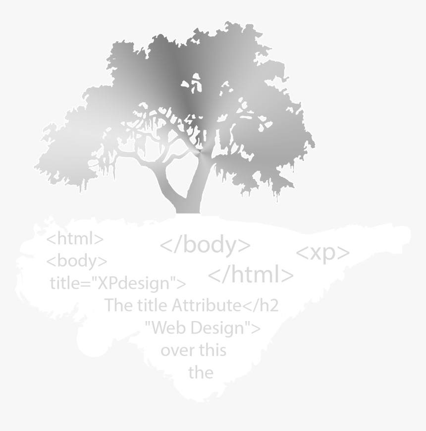 Xp Png 1 - Live Oak Tree Silhouette, Transparent Png, Free Download