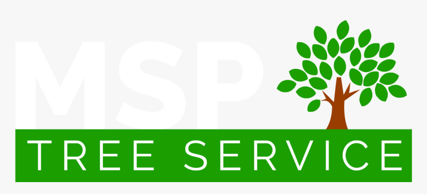 Msp Tree Service, HD Png Download, Free Download