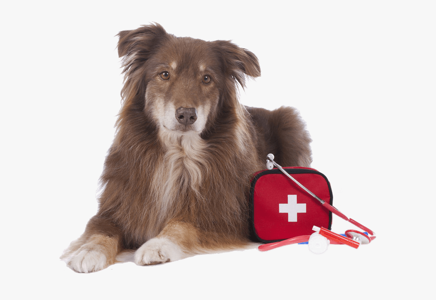 First Aid, HD Png Download, Free Download