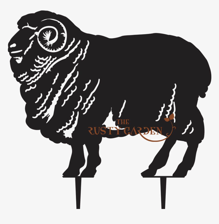 Sheep, HD Png Download, Free Download