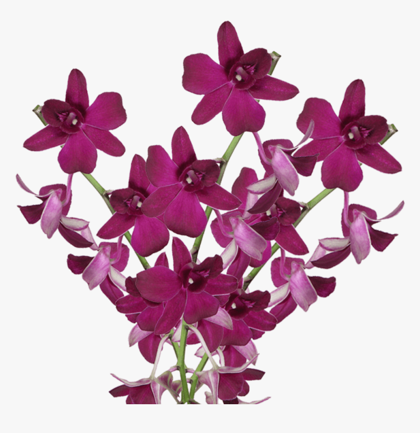 Artificial Flower, HD Png Download, Free Download