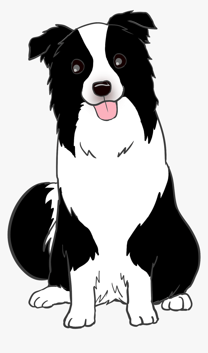 Border Collie, HD Png Download, Free Download