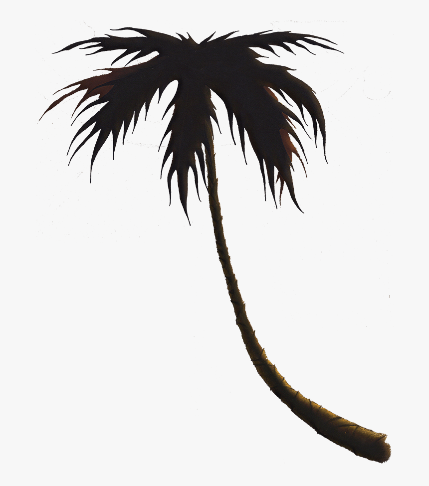 Palm Tree - Attalea Speciosa, HD Png Download, Free Download