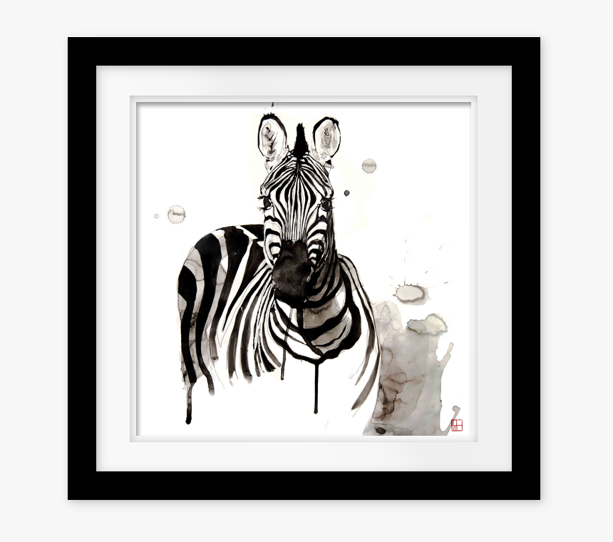 Zebra, HD Png Download, Free Download