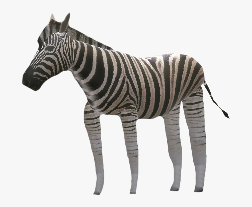 Quagga, HD Png Download, Free Download