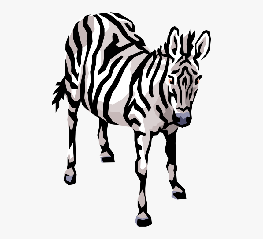 Vector Illustration Of Striped African Zebra Horse - Cliparts Of Animals To Download, HD Png Download, Free Download