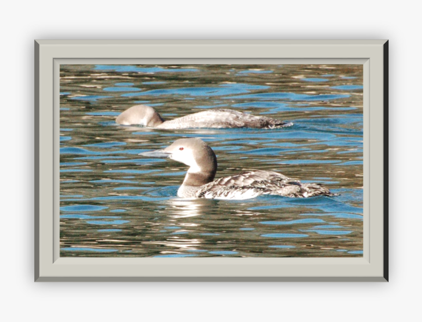 Lake Water Png, Transparent Png, Free Download