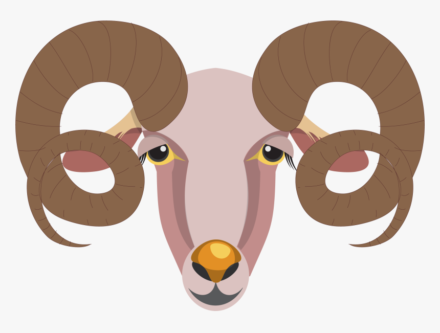 Argali, HD Png Download, Free Download