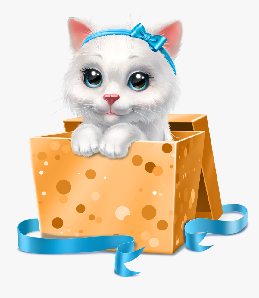 White Kitten Images Download, HD Png Download, Free Download