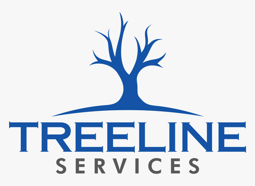 Treeline Tree Services Logo - Anisette, HD Png Download, Free Download