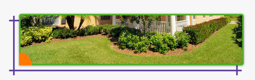 Bradenton Lp Header Pic - Backyard, HD Png Download, Free Download