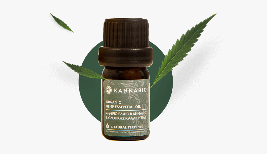 Essential Oil Bottle With Cannabis Leafs - Cosmetics, HD Png Download, Free Download