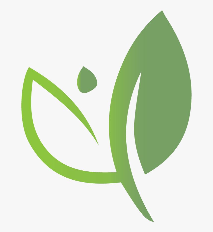 Green Criteria Leaf Icon - Graphics, HD Png Download, Free Download