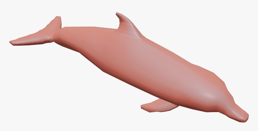 Common Bottlenose Dolphin, HD Png Download, Free Download