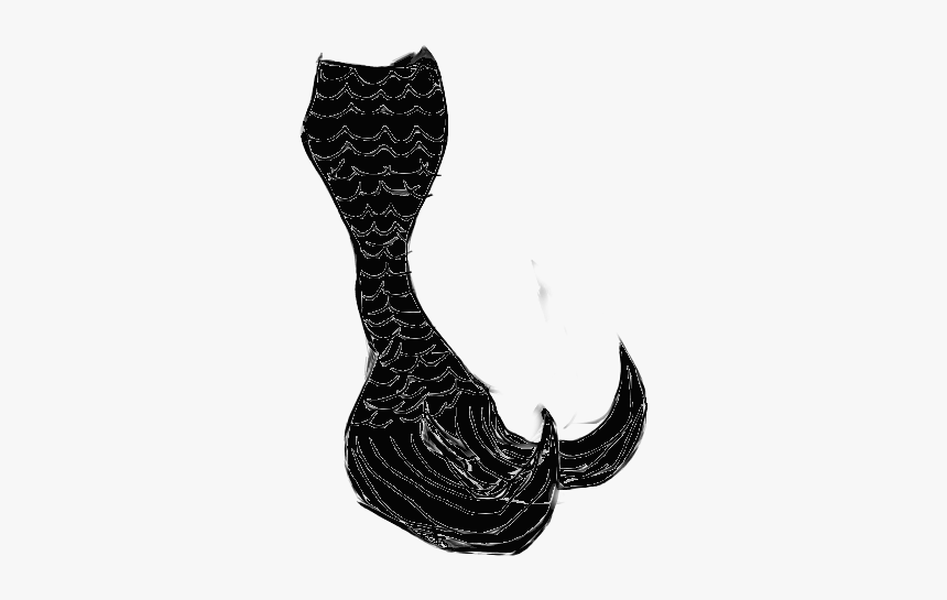 Solid Mermaid Tail Clipart Black And White Image Freeuse - Drawing, HD Png Download, Free Download