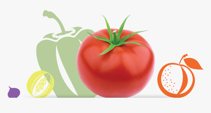 Plum Tomato, HD Png Download, Free Download